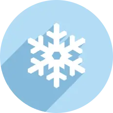 Section Icon